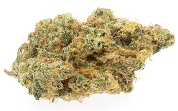 Our Blue Dream, one of the world's most popular strains.