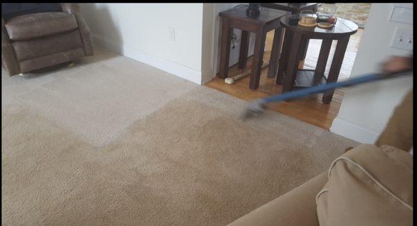 Carpet Cleaning