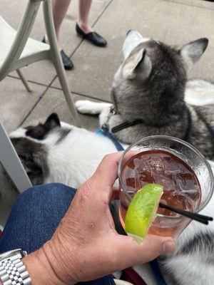 Afternoon cocktails on the patio with the dogs.