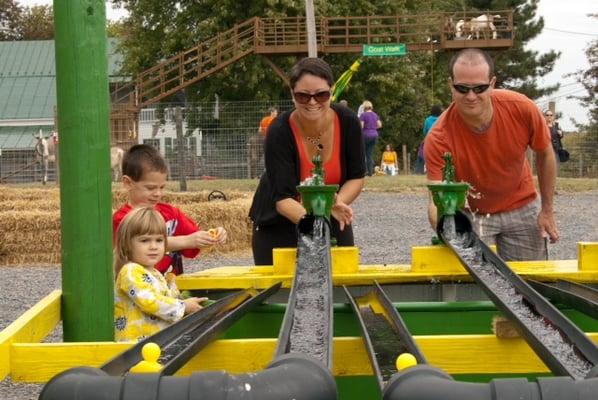 Duck races are fun for the whole family.