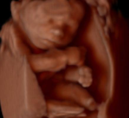 In HD, you can actually see how babies FIT in their space ~ so cool.