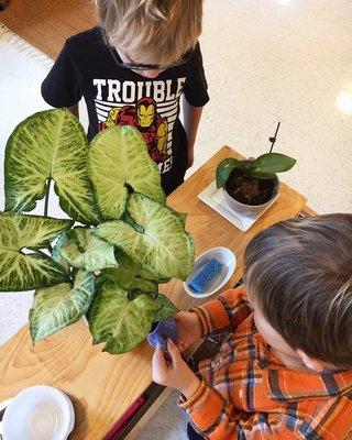 Gardening outside & inside.