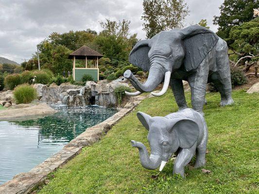 Elephants by the waterside