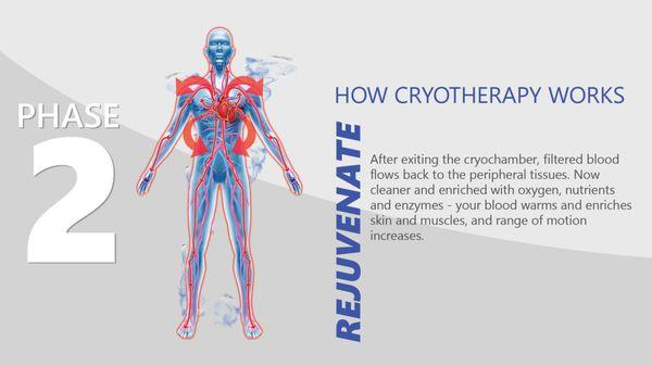 Phase 2: How Cryotherapy Works