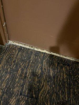 Filth covering the floors outside of tenants doors and all throughout the building clearly has not been vacuumed and up kept.