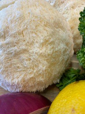 Organic Lions Mane Mushroom, Organic red onion, organic lemon, organic parsley from Organics To You Small Bin opt