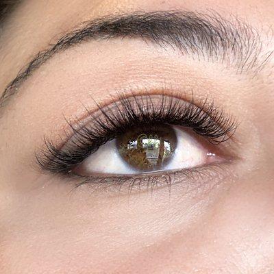 hybrid lashes