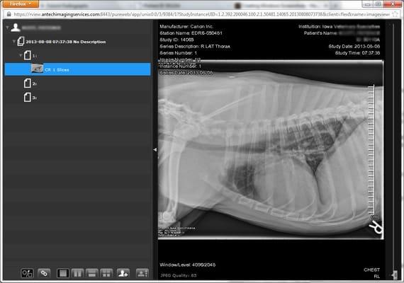 Digital Radiographs