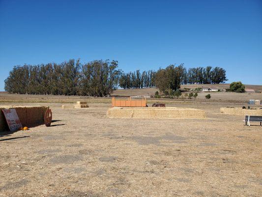 A view from the farm, pumpkins are in the distance.