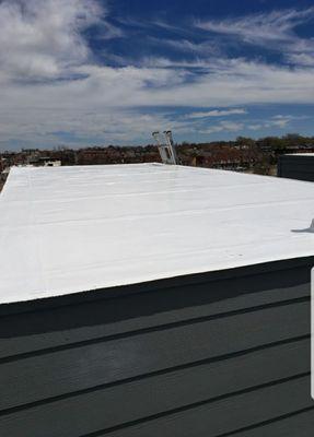 Roof Coating