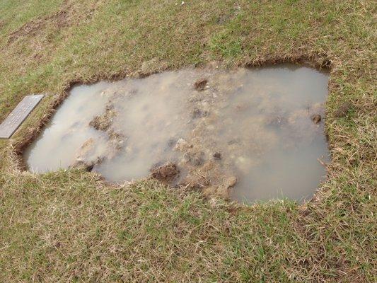 Buried December 30, this is the state of the grave on March 30. No maintenance done.