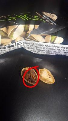 Does someone in this store want to explain to me why my pistachios that aren't going to expire until 05/19 has a dead maggot inside?