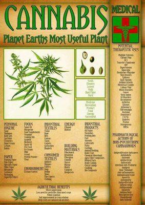 Benefits of cannabis