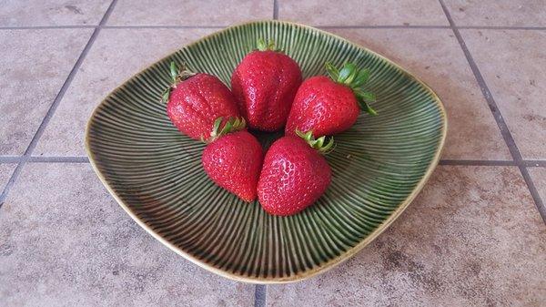 The BERRY best Strawberries at Smorgasburg LA in Downtown LA form Elias Produce.