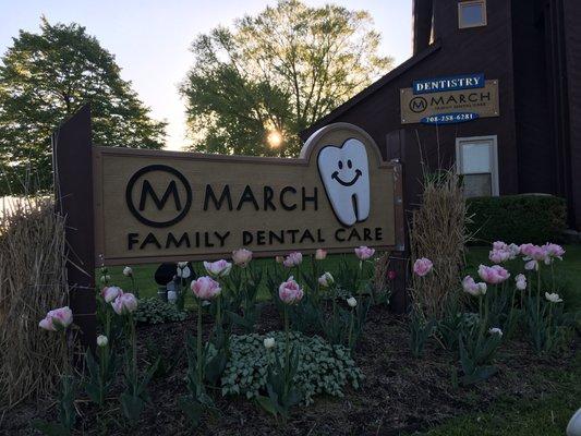 Springtime at March Family Dental Care