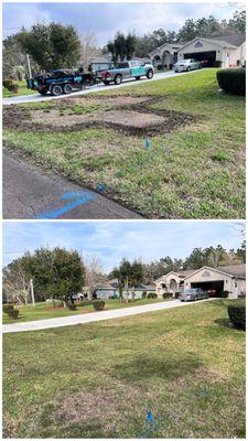 Sod Installation