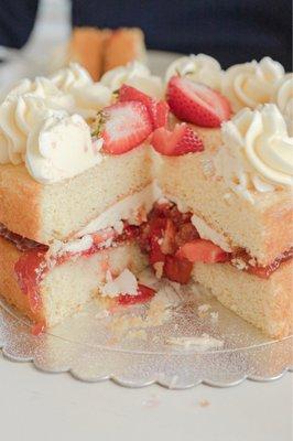 Inside of Sponge Cake