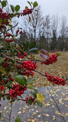 Evergreen Funeral Home and Cemetery