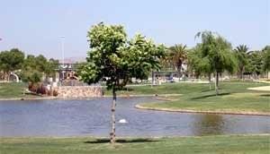 Watch the ducks swim, or just take a jog around the park