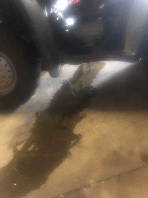 Coolant/Oil spot under the bike at the dealer.