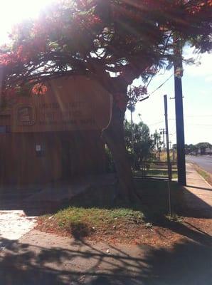 Kekaha Post Office