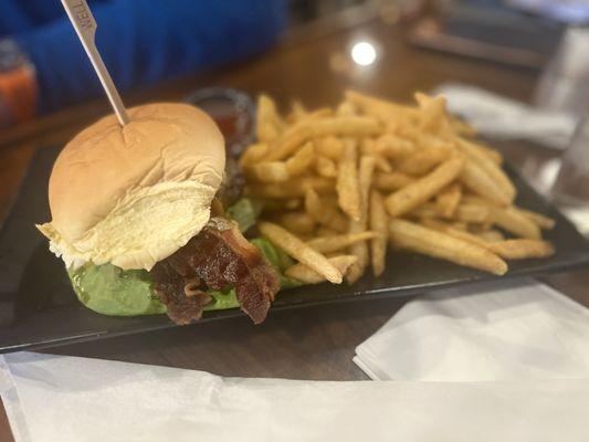 Burger and a bunch of tasty fries