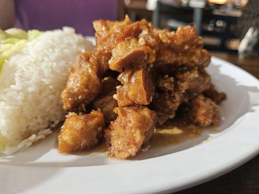 close up of Honey Garlic Chicken