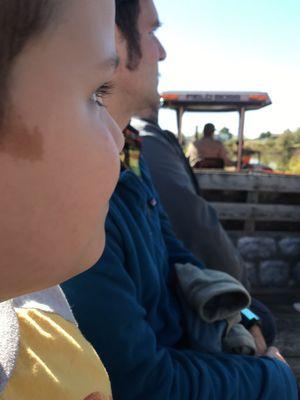 Pumpkin Tractor Rides!!!