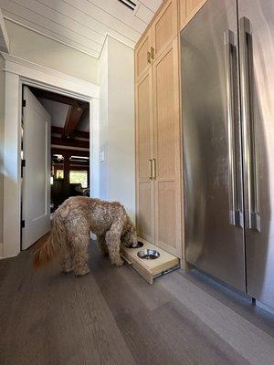 This kitchen remodel in south Pasadena has a extra compartment for Axcell