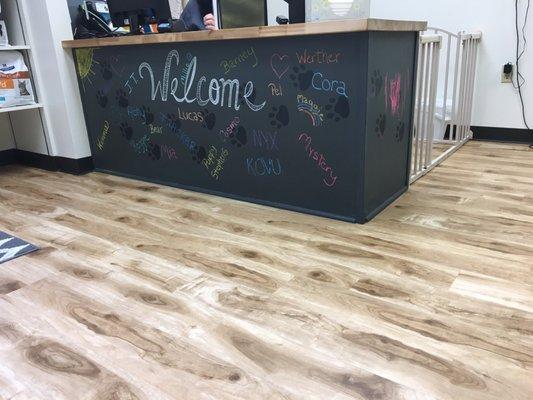 So adorable how they write each animal patient on the chalkboard !