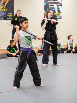 Premier Martial Arts - Wylie