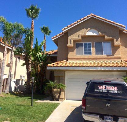 Pruning palms and removing dead fronds.