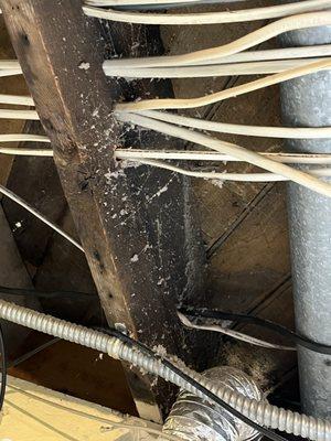 Dust and sediment from where vent exited the home into my ceiling area