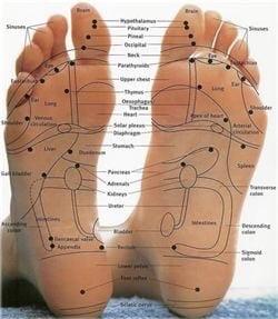 Fully trained & Certified in the Ancient Art of Reflexology