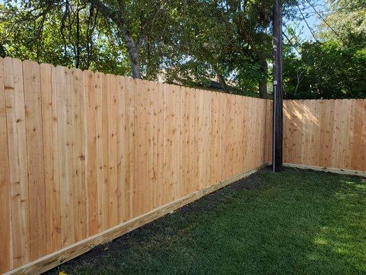 Backyard cedar fence.