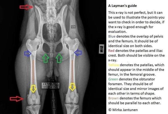 OFA standard positioning and it's not even a perfect example