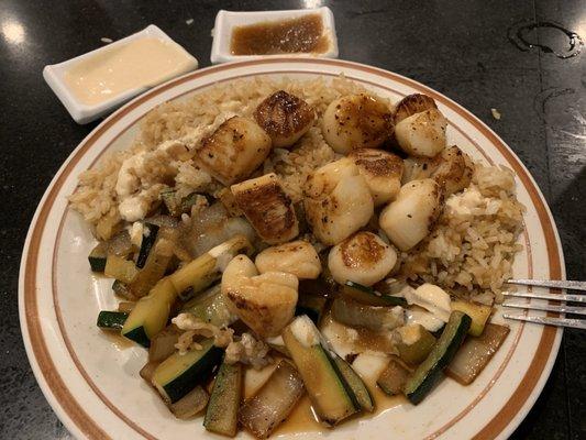 Scallop dinner - amazing.  Hibachi fried rice and veggies and scallops