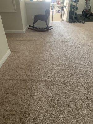 Carpet not stretched