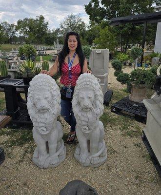 Lion statues