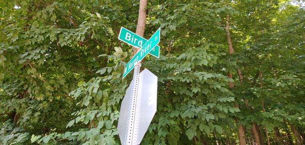 Parking lot at this intersection