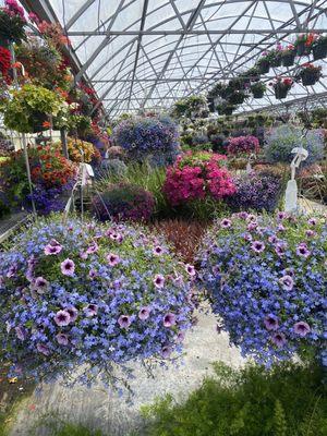 Hanging baskets