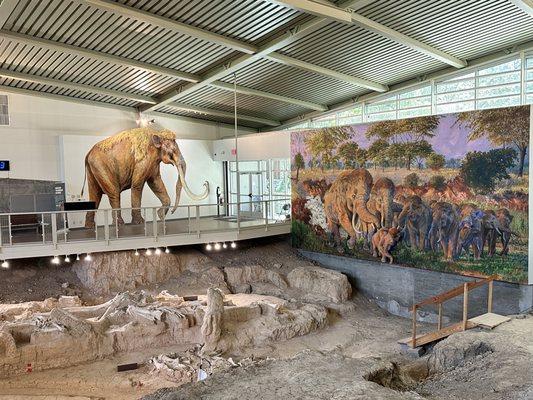 The Waco Mammoth Site