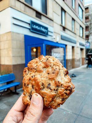 Chocolate Chip Walnut