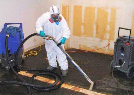 Biohazard cleanup