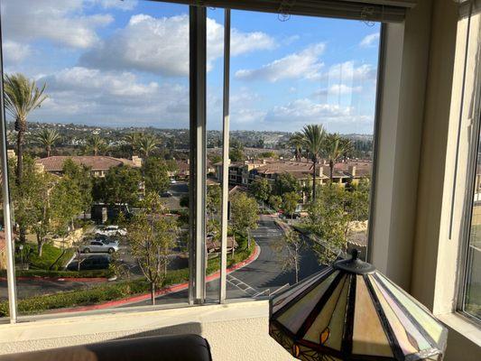 Living room window