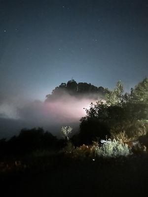 tried to come for the aurora borealis last night - was too foggy...