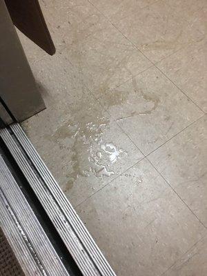 Dog pee at the elevator