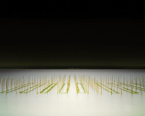 David Burdeny, Mikawa wan Nori Farm, c-print