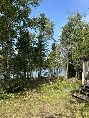 After the clearing. Much better view of the lake and opened up room around the remaining trees to breathe!