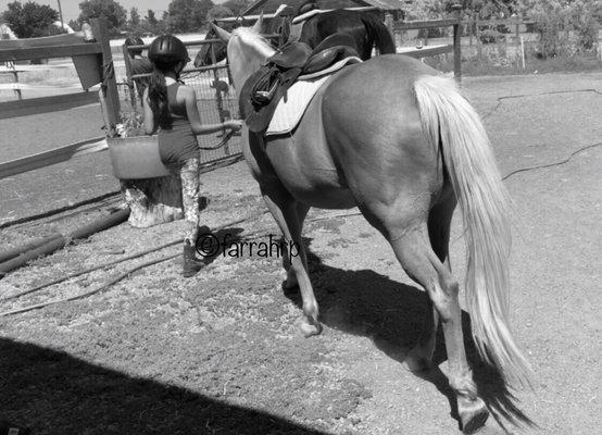 Dressed and walking to the arena for her lesson!